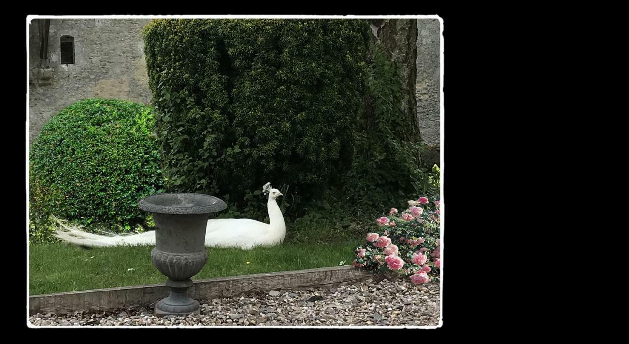 Manoir De Livet Bed and Breakfast Saint-Germain-de-Livet Exteriör bild
